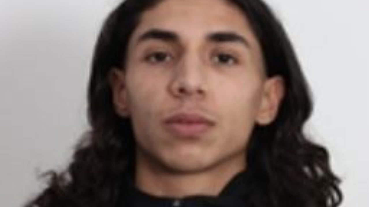 Sådan ser den efterlyste ud.