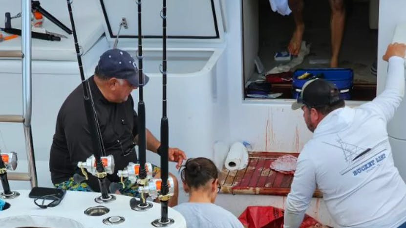Da Marlin blev hjulpet op af vandet, stod flere straks klar til at hjælpe ham.