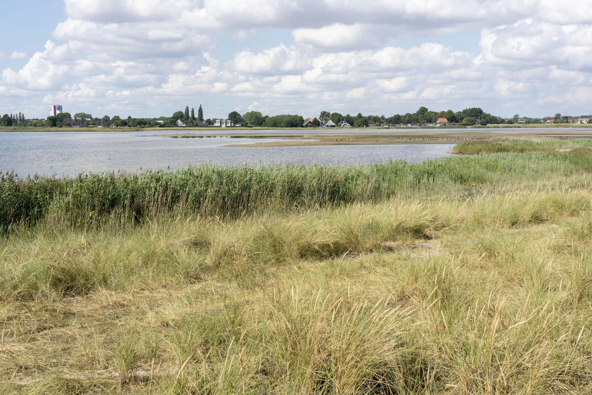 Strandsø ved Ølsemagle Revle – Stauningsø Vildreservat ved Ølsemagle Strand i smukt sommervejr, Ølsemagle Revle – Stauningsø Vildreservat ud mod Køge Bugt, nord for Køge.