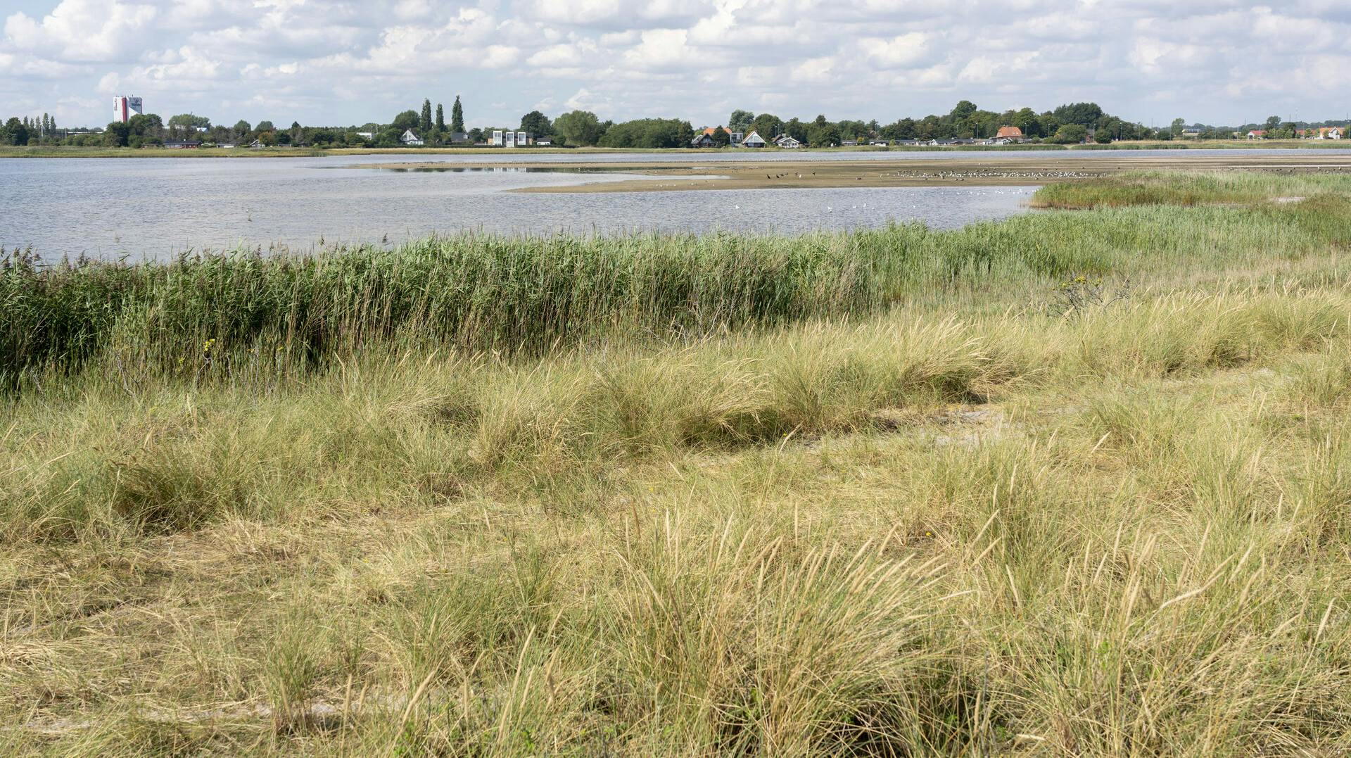 Strandsø ved Ølsemagle Revle – Stauningsø Vildreservat ved Ølsemagle Strand i smukt sommervejr, Ølsemagle Revle – Stauningsø Vildreservat ud mod Køge Bugt, nord for Køge.