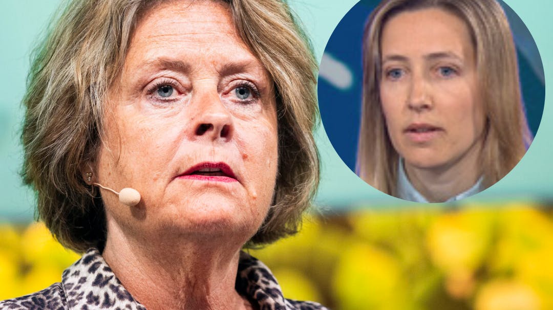 Stine Bosse er 63 år gammel, og hun er spidskandidat for Moderaterne til Europaparlaments-valget.