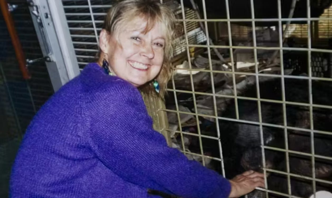 Få sager er så rystende som sagen om kælechimpansen Travis, der tilbage i februar 2009 angreb sin ejers bedste ven og åd hendes ansigt og hænder.&nbsp;