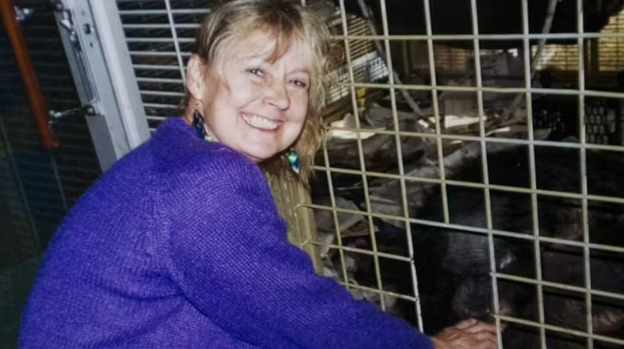 Få sager er så rystende som sagen om kælechimpansen Travis, der tilbage i februar 2009 angreb sin ejers bedste ven og åd hendes ansigt og hænder. 