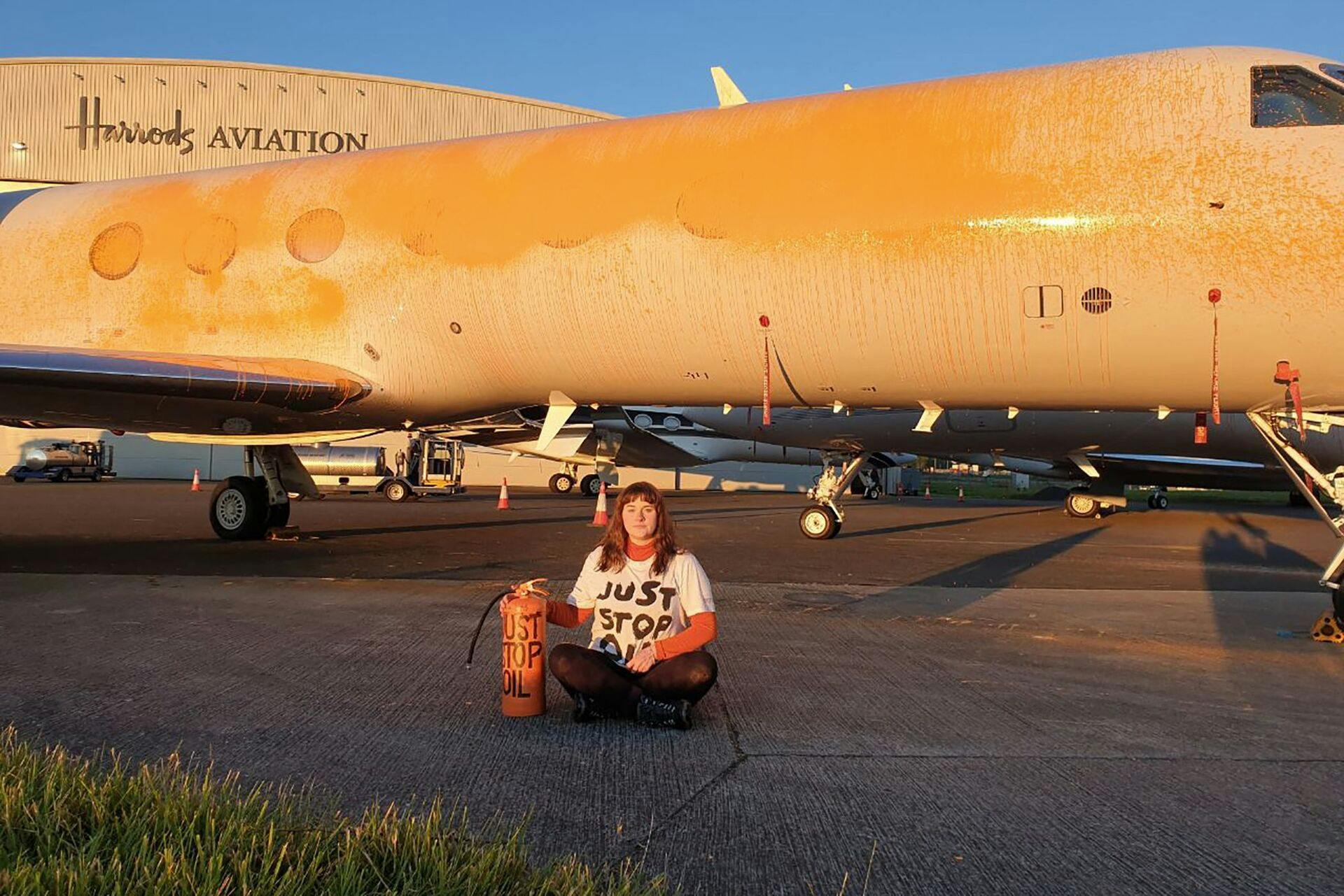 Aktivisterne nåede at posere foran det orangefarvede fly, før de blev anholdt.