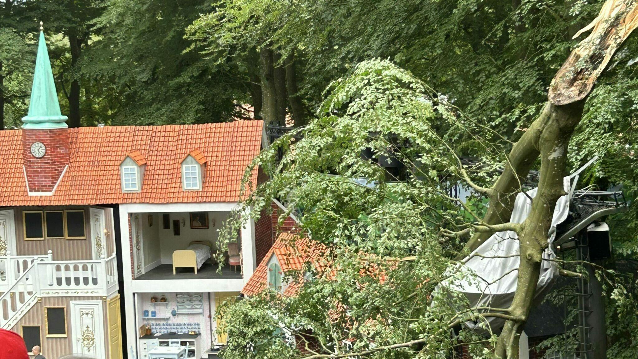 Træet var meget tæt på at ramme publikum, der heldigvis kom i sikkerhed, fordi kvikke hoveder opdagede, at noget var ved at gå helt galt.