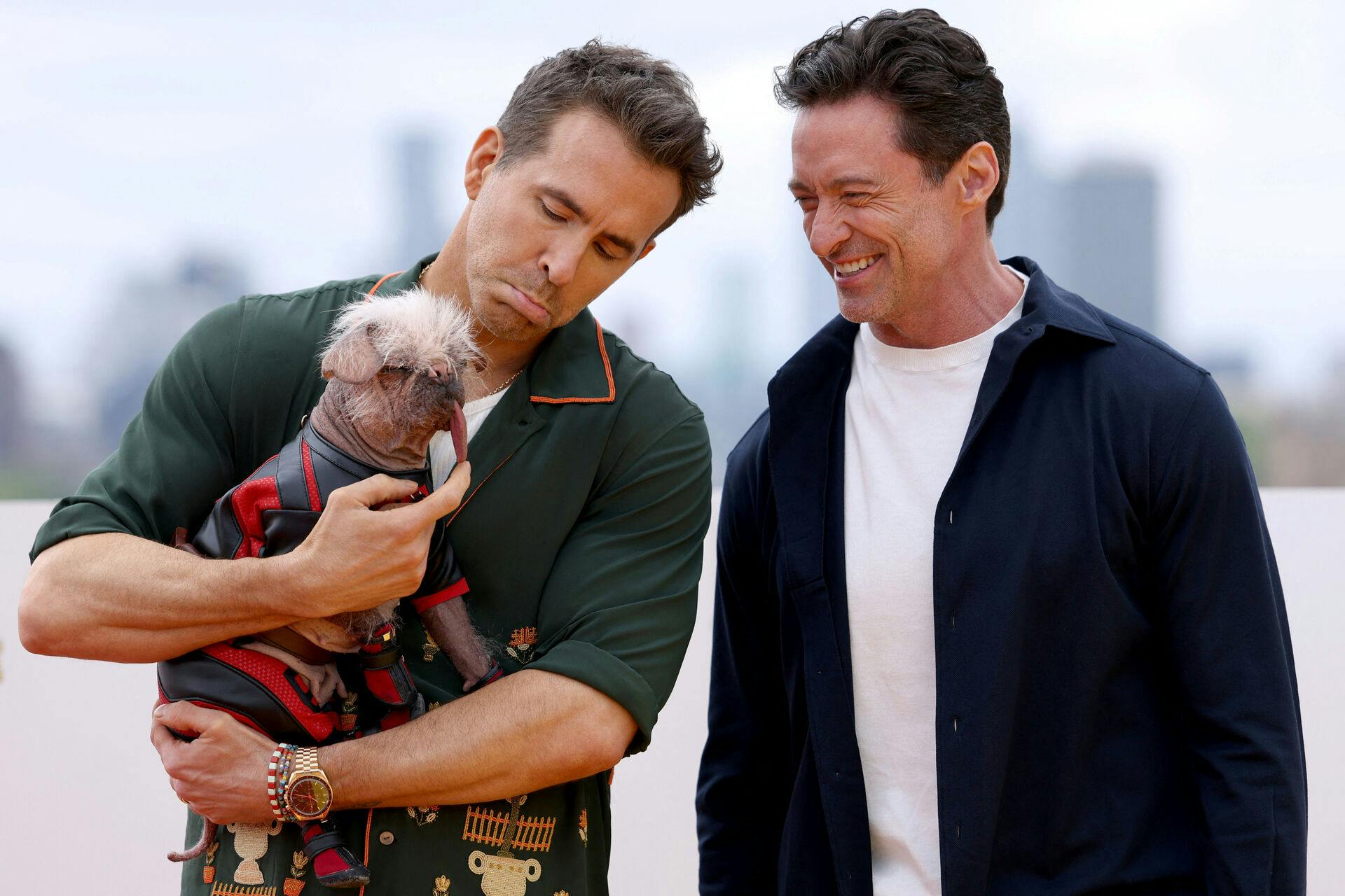 Hugh Jackman og Ryan Reynolds havde fredag taget deres "medskuespiller", hunden Peggy med til pressemødet. I den kommende film spiller den rollen som Dogpool.