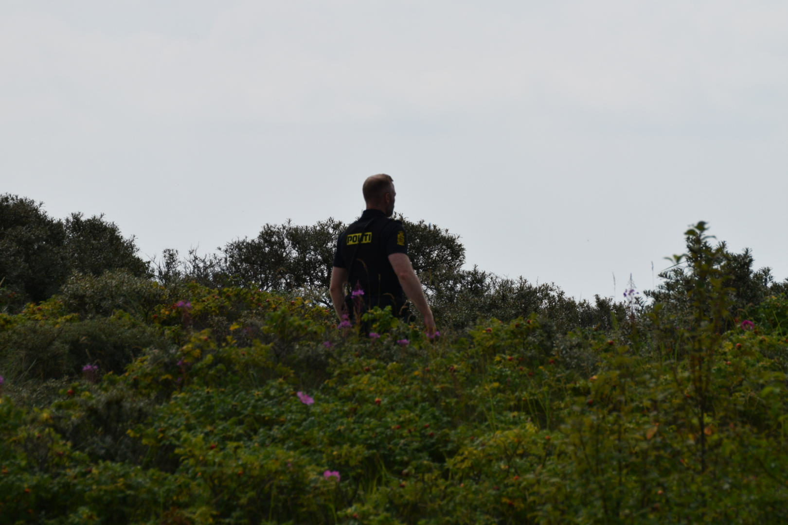 Fredag formiddag har politiet "foretaget undersøgelser" ved Vallensvæk Strand.