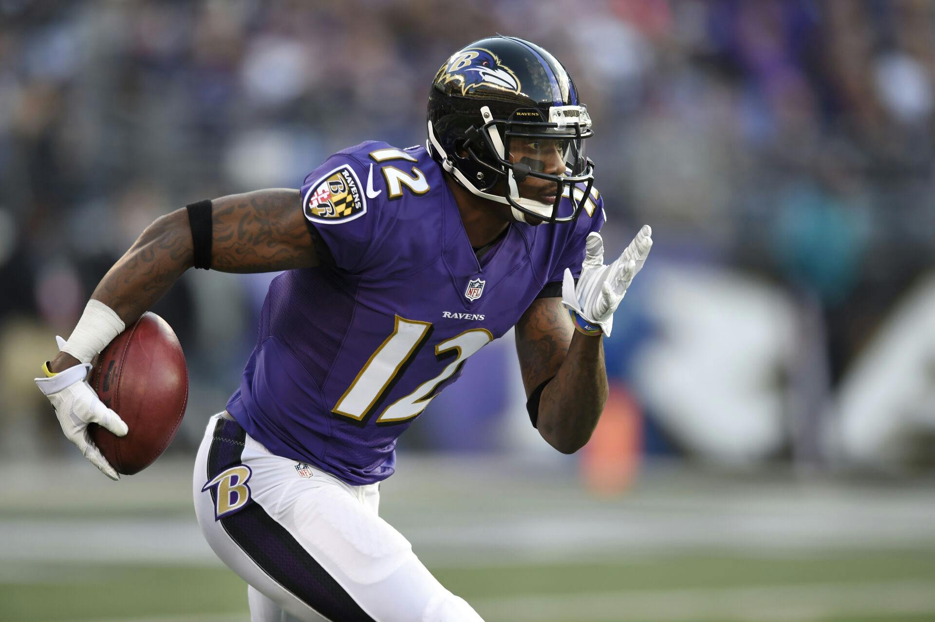 Baltimore Ravens wide receiver Jacoby Jones i 2015.