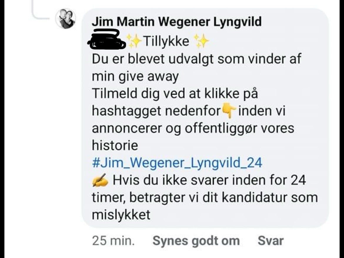 Sådan ser en af de falske kommentarer blandt andet ud.