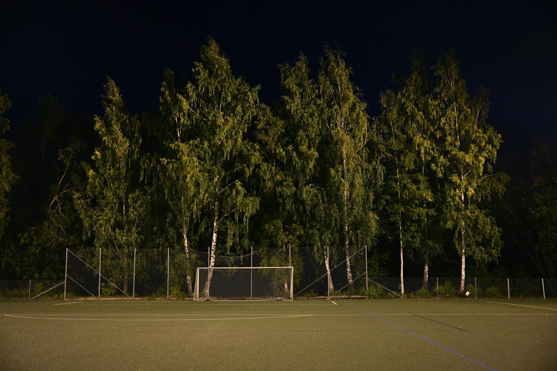 STOCKHOLM, SVERIGE 20240829 Flera personer har träffats av blixten som slog ned i ett träd i närheten av en fotbollsplan på Lidingö utanför Stockholm på torsdagskvällen. Foto: Pontus Lundahl / TT / Kod 10050
