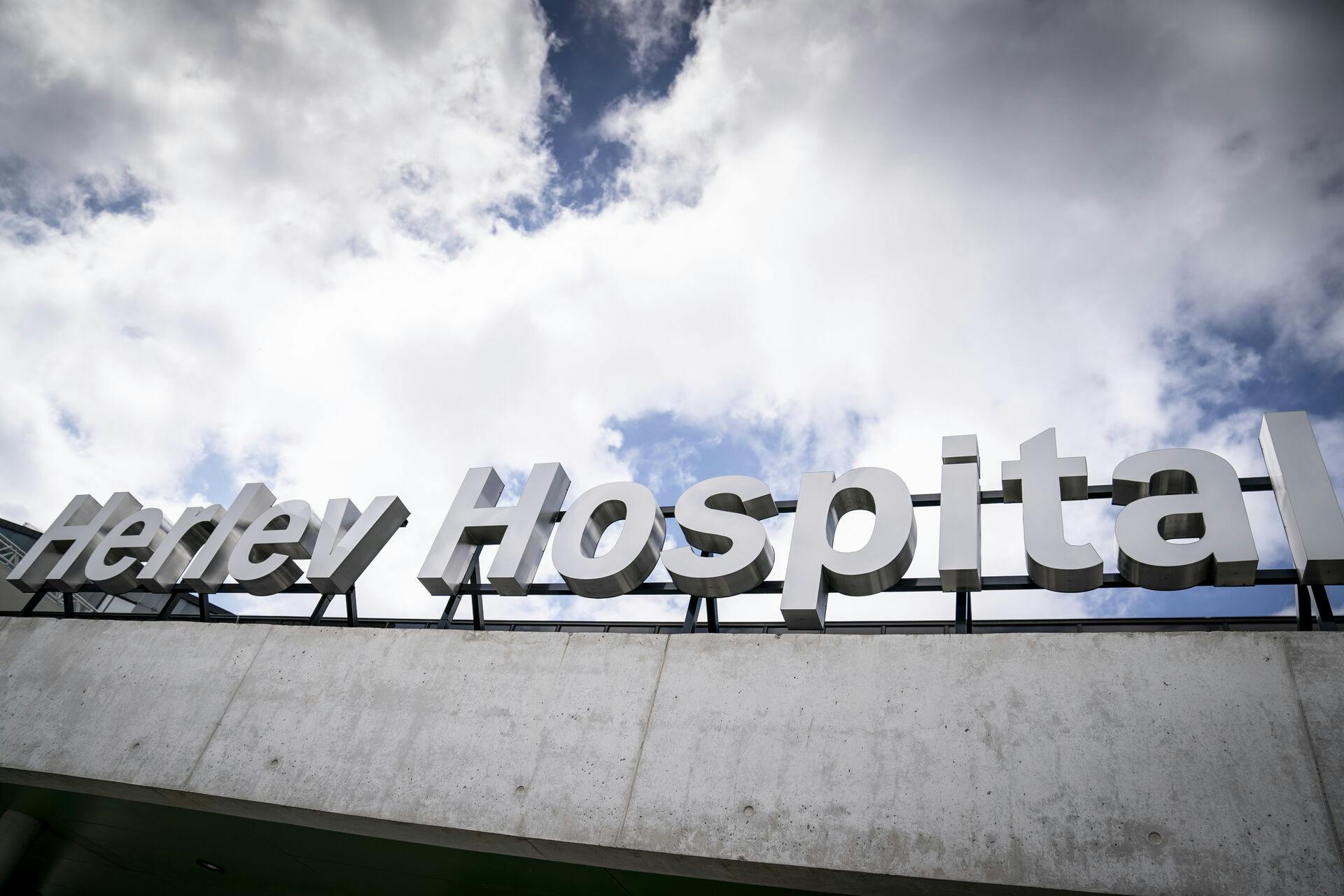 Det er blandt andet på Herlev Hospital, at der er problemer med skægkræ