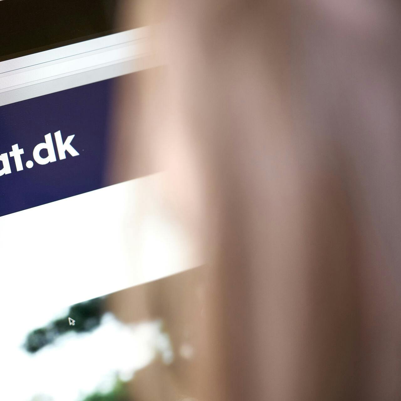 Paradisoen havde indberettet ukorrete oplysninger til Skat.