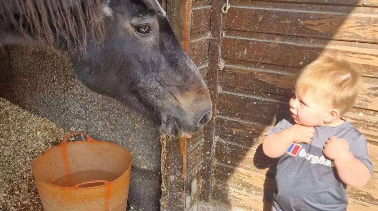 En halv time efter lille Carter Walsh blev fotograferet med en hest, døde drengen på tragisk vis i en ulykke i hjemmet.