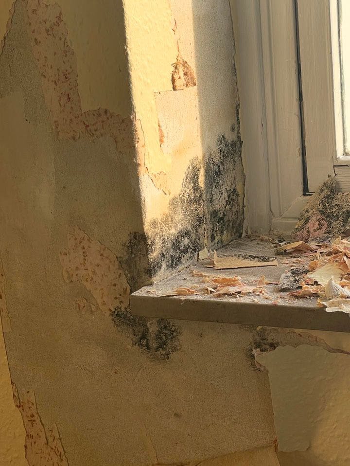 Vindueskarmen inde på værelset, hvor Joy sover med sin datter. Nu er der flyttet ind i stuen. Her har hun nu sovet 12 måneder, målinger foretaget i juli måned viser, at der ikke er fugt i stuen.