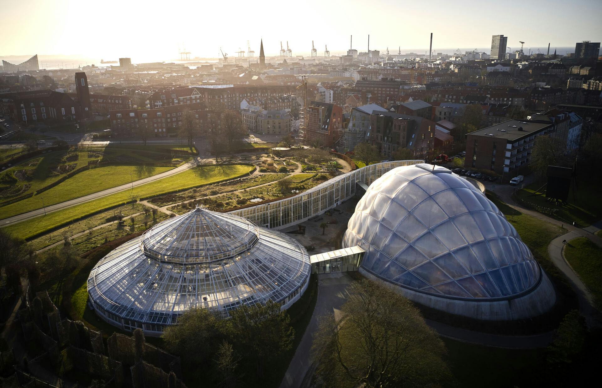 Væksthusene i Botanisk Have med drone i Aarhus, tidligt tirsdag morgen den 7. april 2020. (Foto: Mikkel Berg Pedersen/Scanpix 2020)