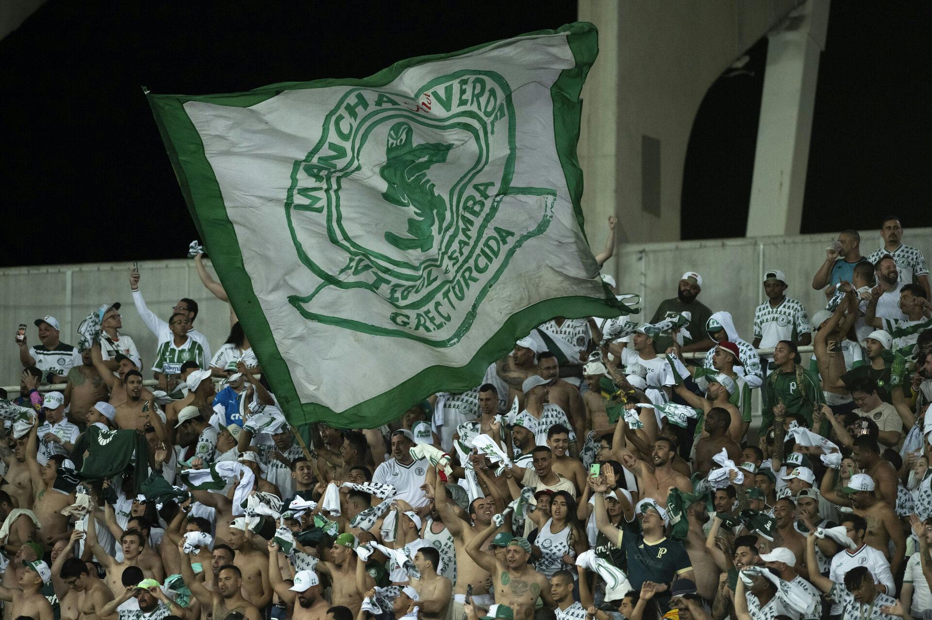 RJ - Rio de Janeiro - 10/03/2022 - BRAZILIAN A 2022, BOTAFOGO X PALMEIRAS - Palmeiras fans during a match against Botafogo at the Engenhao stadium for the Brazilian championship A 2022. Photo: Jorge Rodrigues/AGIF (via AP)