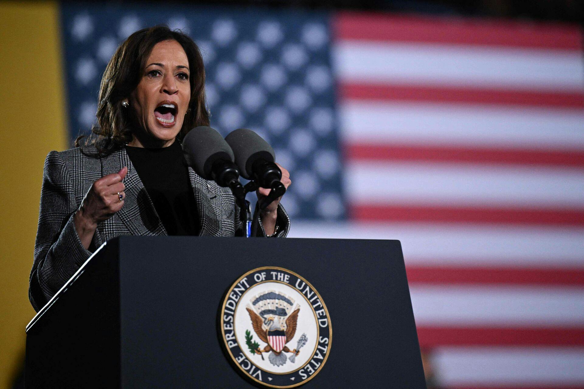 US Vice President and Democratic presidential candidate Kamala Harris speaks during a campaign rally at Burns Park in Ann Arbor, Michigan, October 28, 2024. (Photo by Drew ANGERER / AFP)