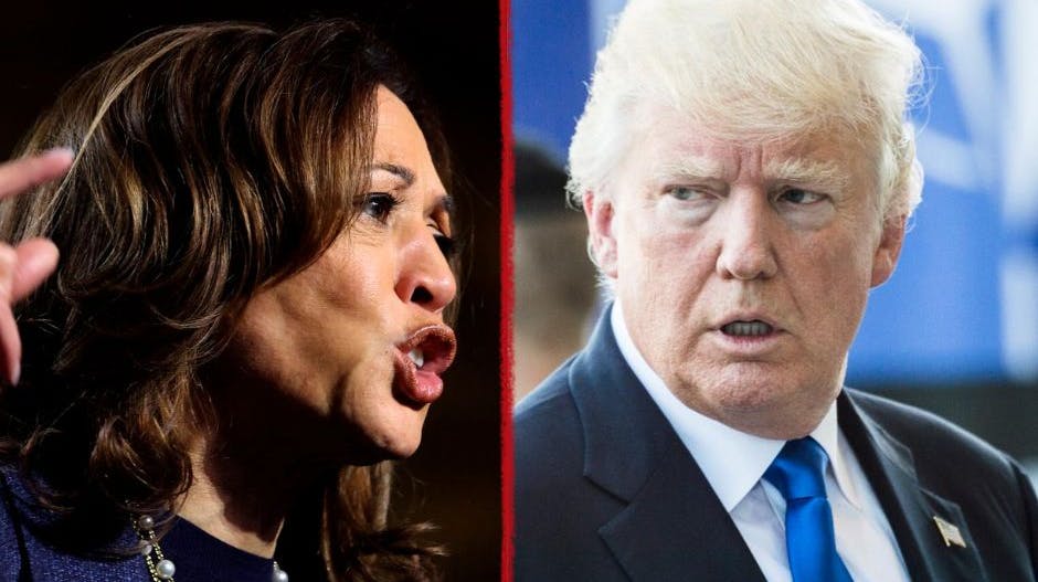 Donald Trump og Kamala Harris kæmper op at blive USA's præsident. Her kan du se, hvordan de kendte stemmer.