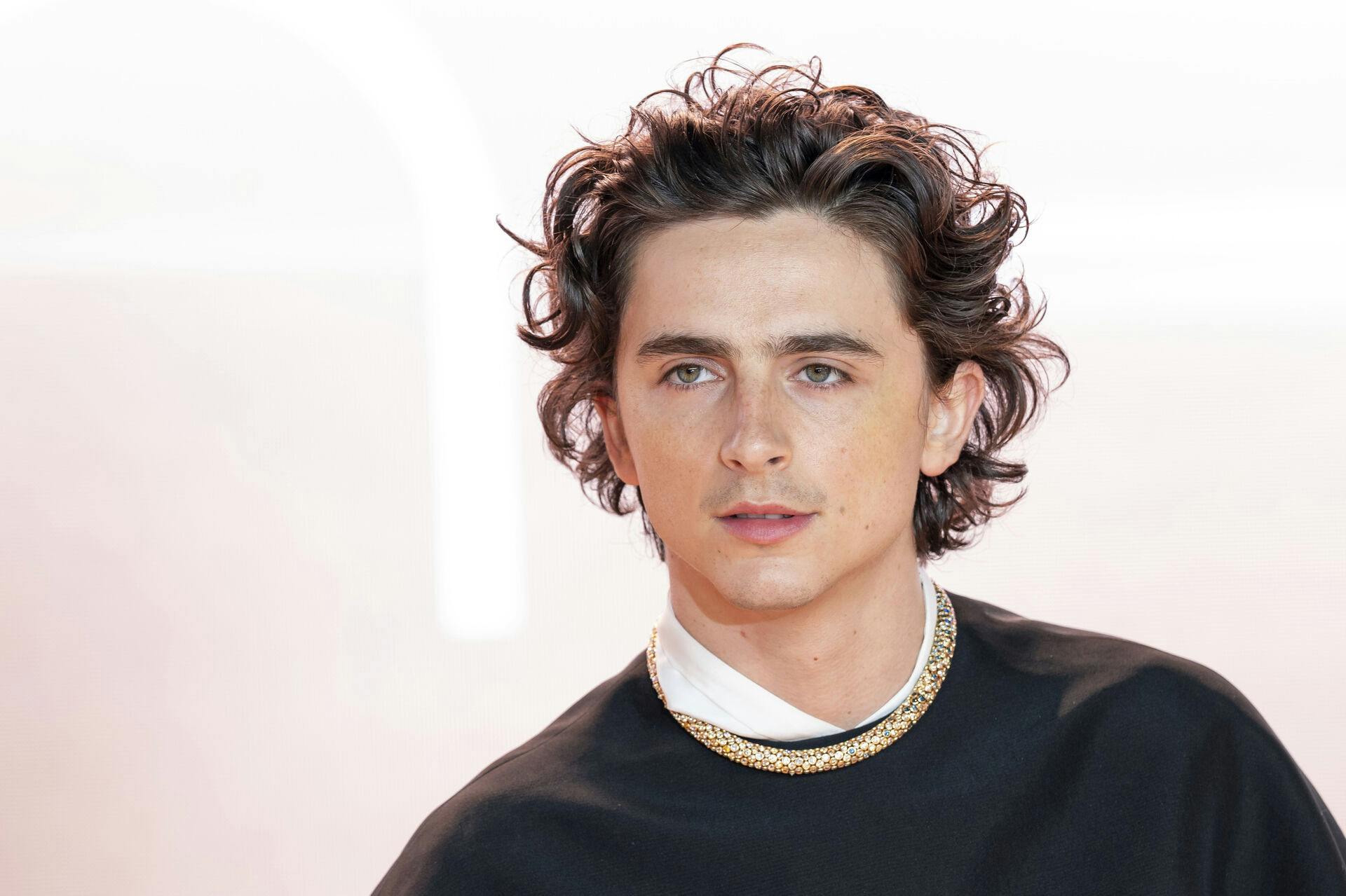 Timothee Chalamet har tidligere fået nej til roller på grund af sin fysik.