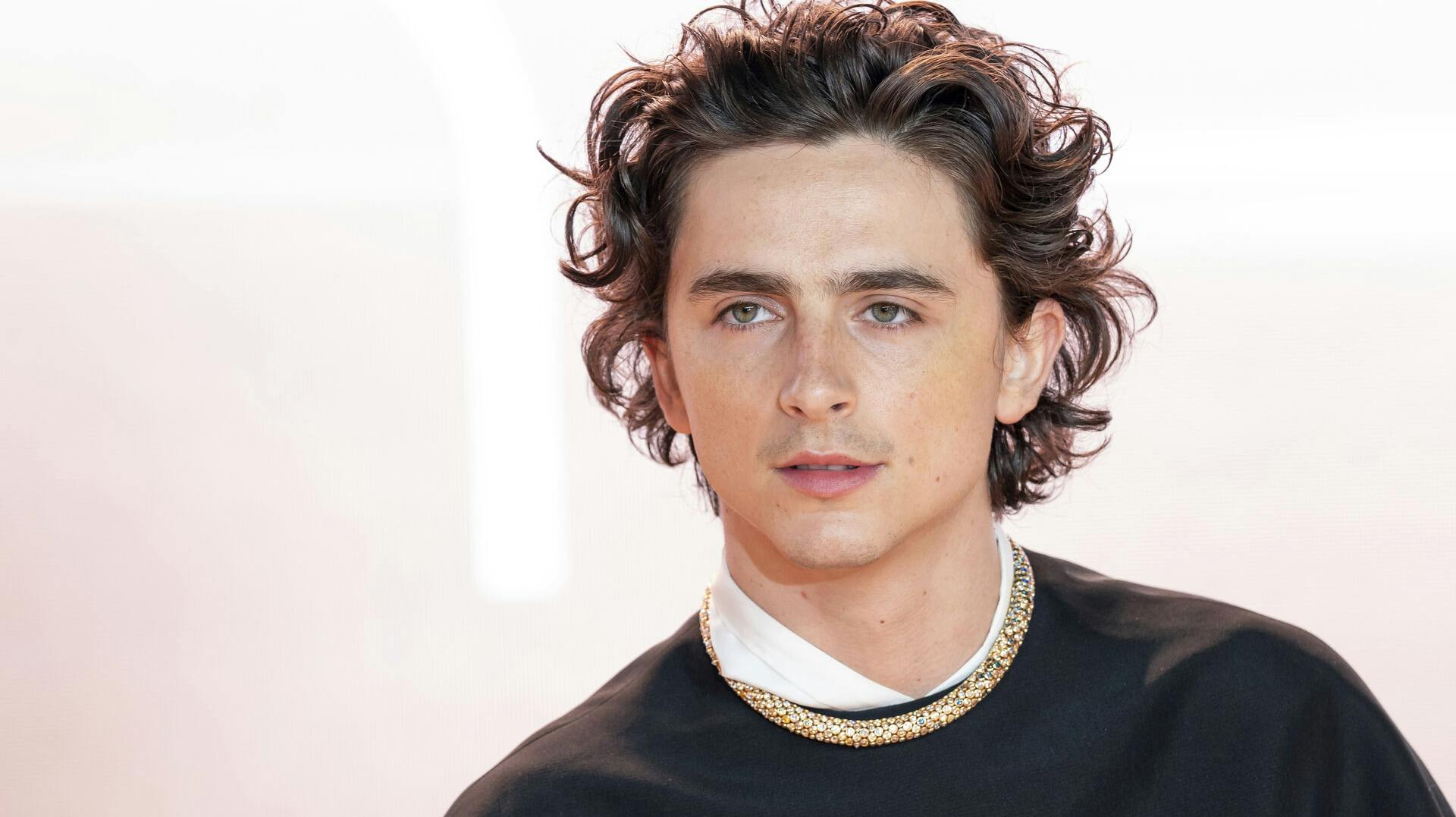 Timothee Chalamet har tidligere fået nej til roller på grund af sin fysik.