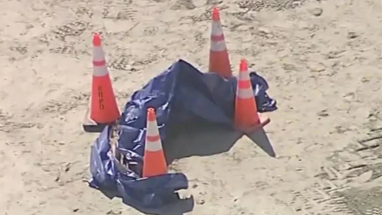 Tirsdag morgen fandt strandgæster et afhugget hoved på en strand i Miami. Det er i skrivende stund uvist, hvem hovedet tilhører.