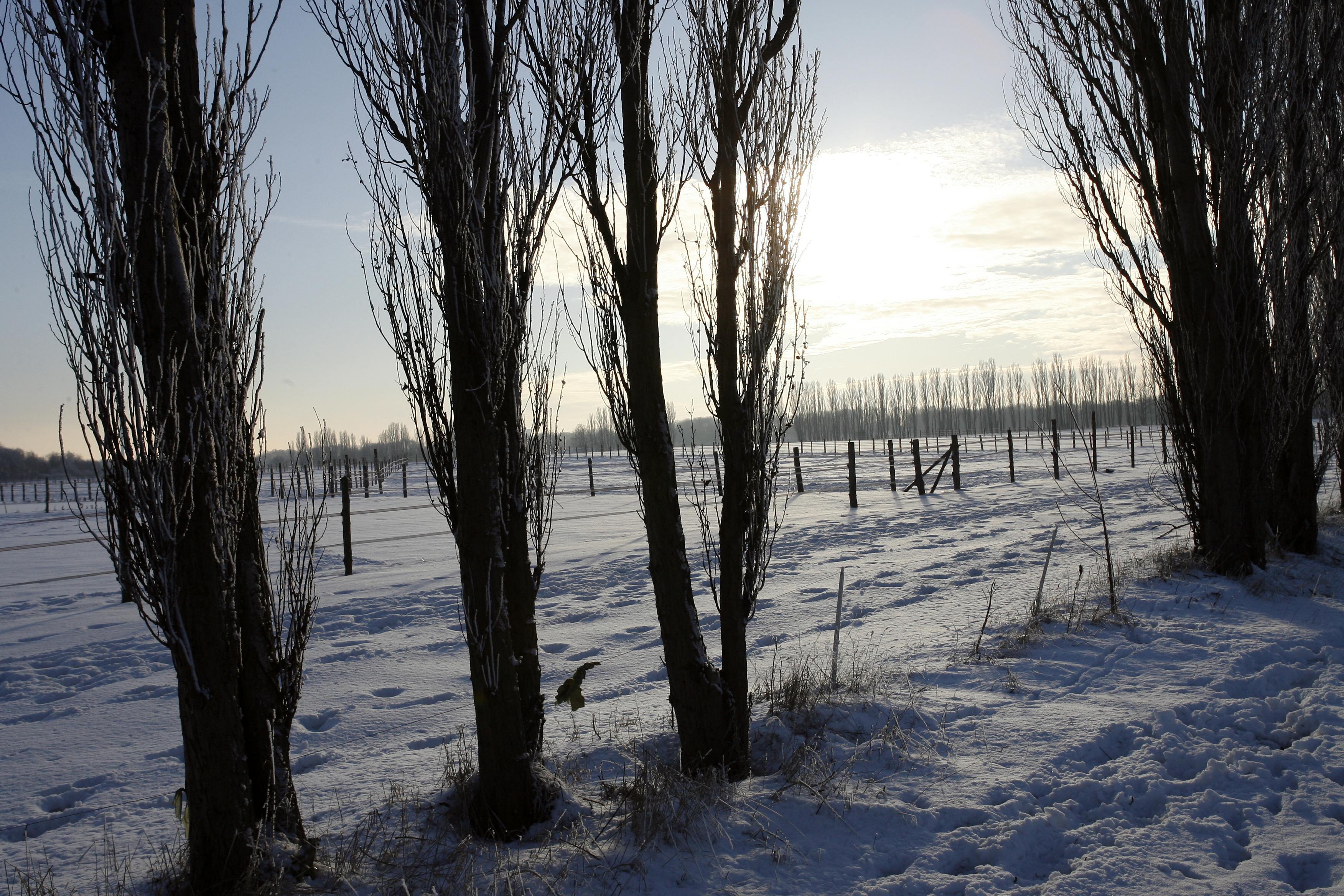 Fotograf: Peter GrosenBegivenhed:Vinter og heste ved hvidovre rideskoleSted:hvidovreDato:20060128 Stemningsbilleder