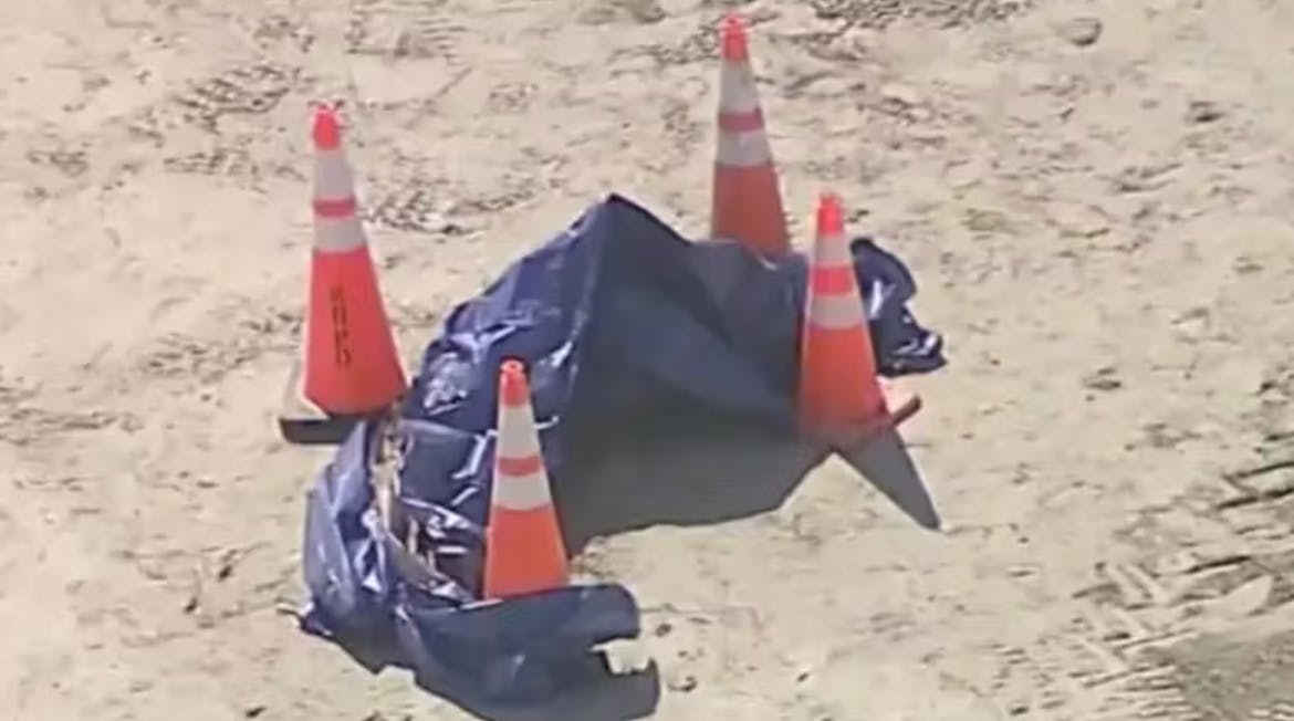 I sidste uge skyllede et menneskehoved op på en strand i Miami – nu viser det sig så, at hovedet tilhører en blot 17-årig dreng.