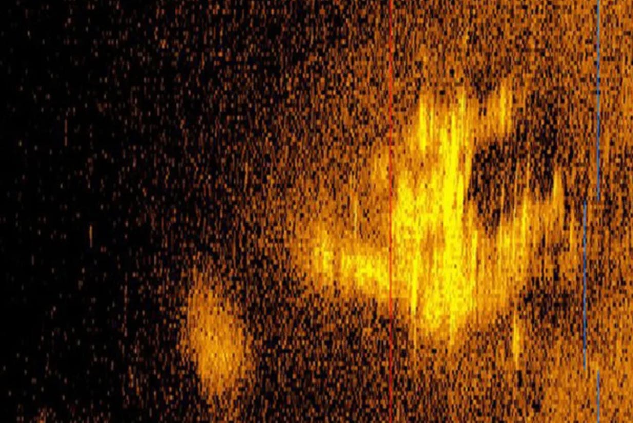 Dette grynede sonarbillede blev taget for omkring et år siden af virksomheden Deep Sea Vision. Man håbede, at sonarbilledet havde opklaret et af de største flymysterier nogensinde: Mysteriet om forsvundne Amelia Earhart.