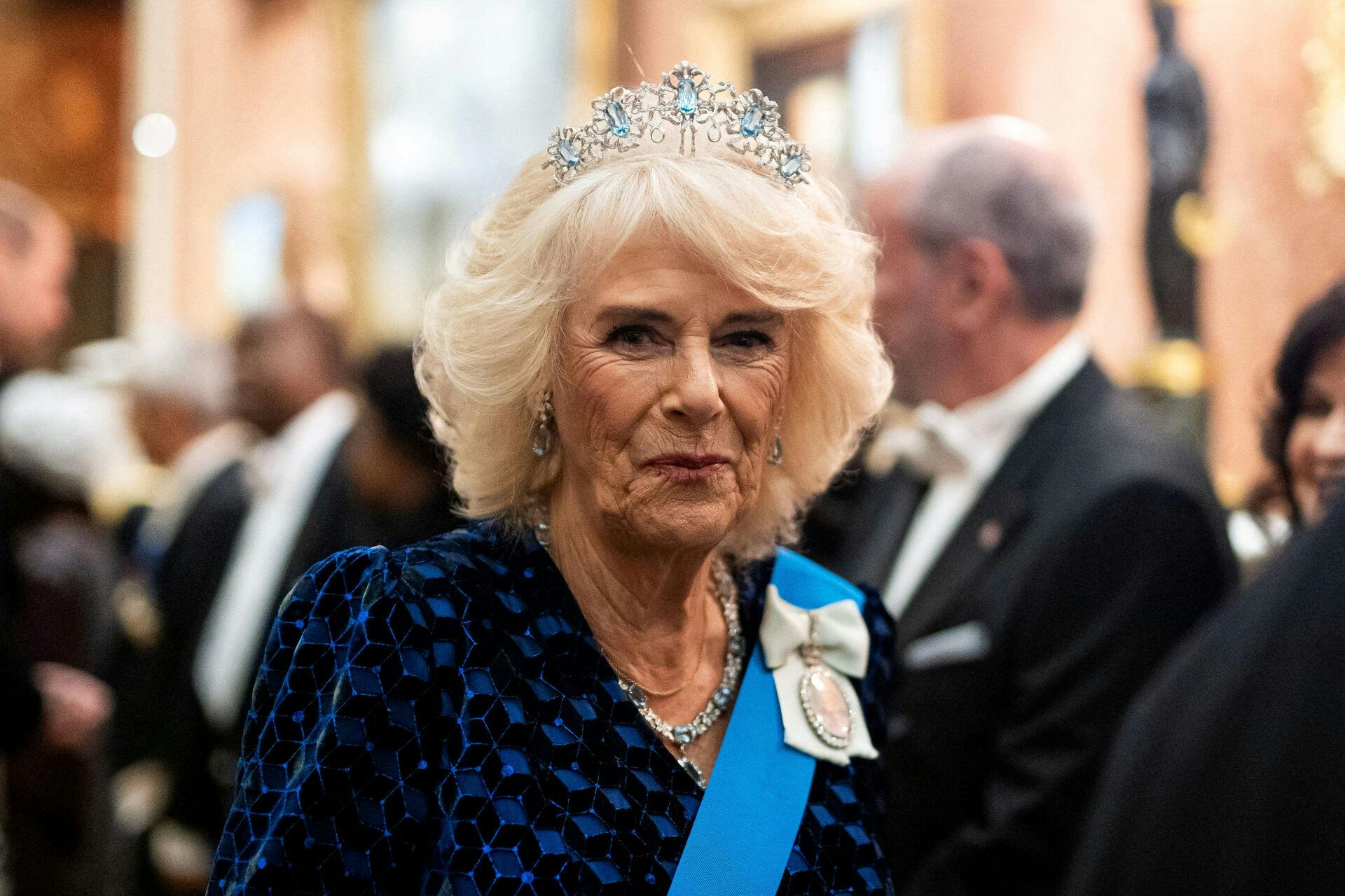 FILE PHOTO: Britain's Queen Camilla attends a Diplomatic Corps reception at Buckingham Palace in London, Britain, November 19, 2024. Aaron Chown/Pool via REUTERS/File Photo