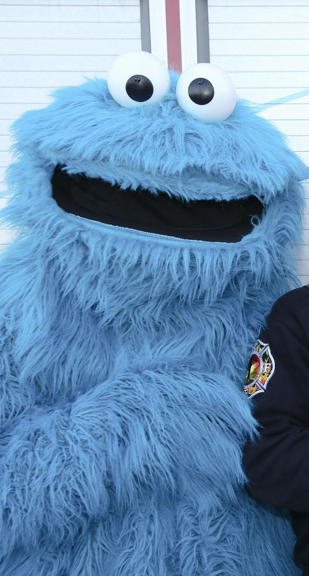 Rihanna eller Muppet-figuren Cookie Monster?