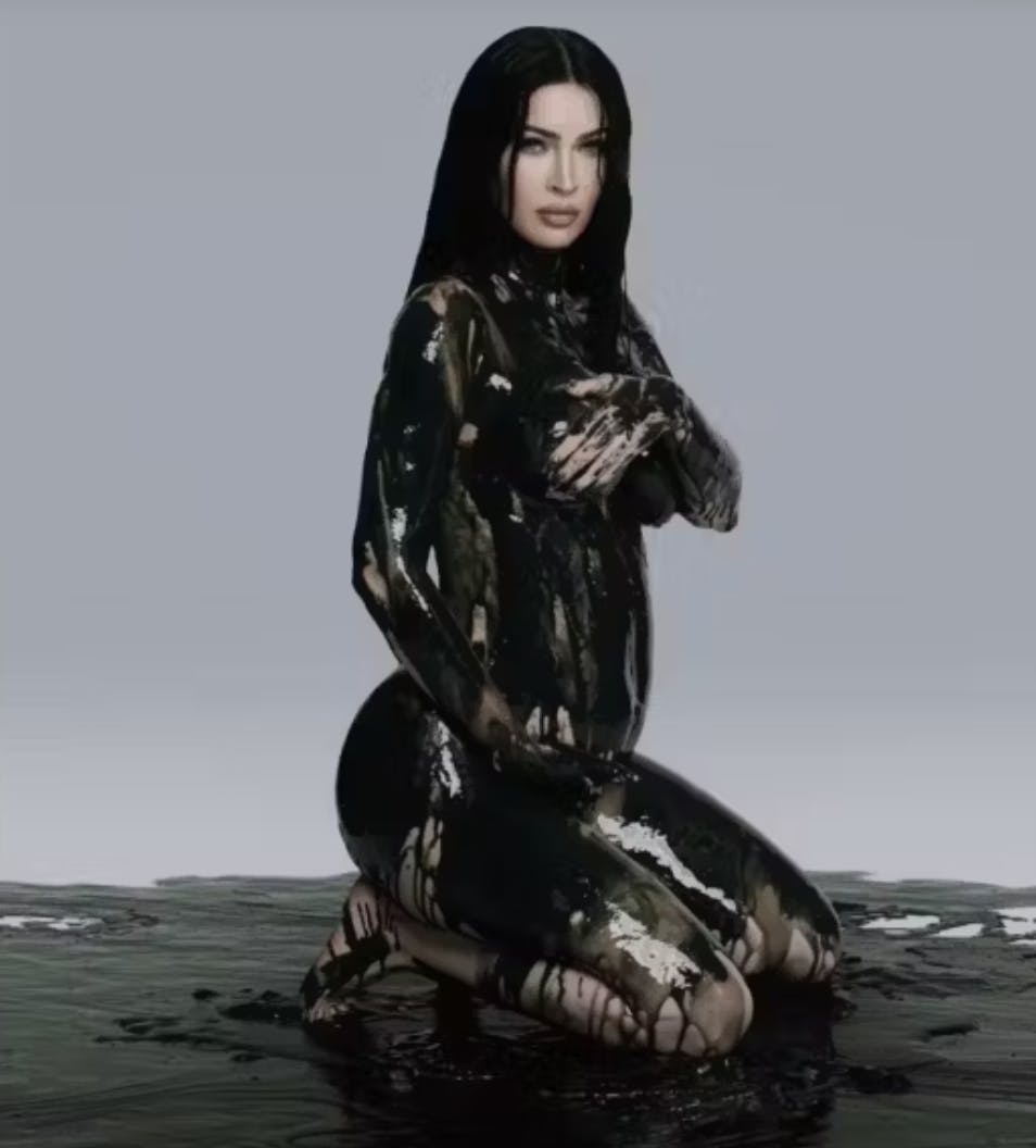 Megan Fox annoncerede med dette billede sin graviditet i midten af november 2024.