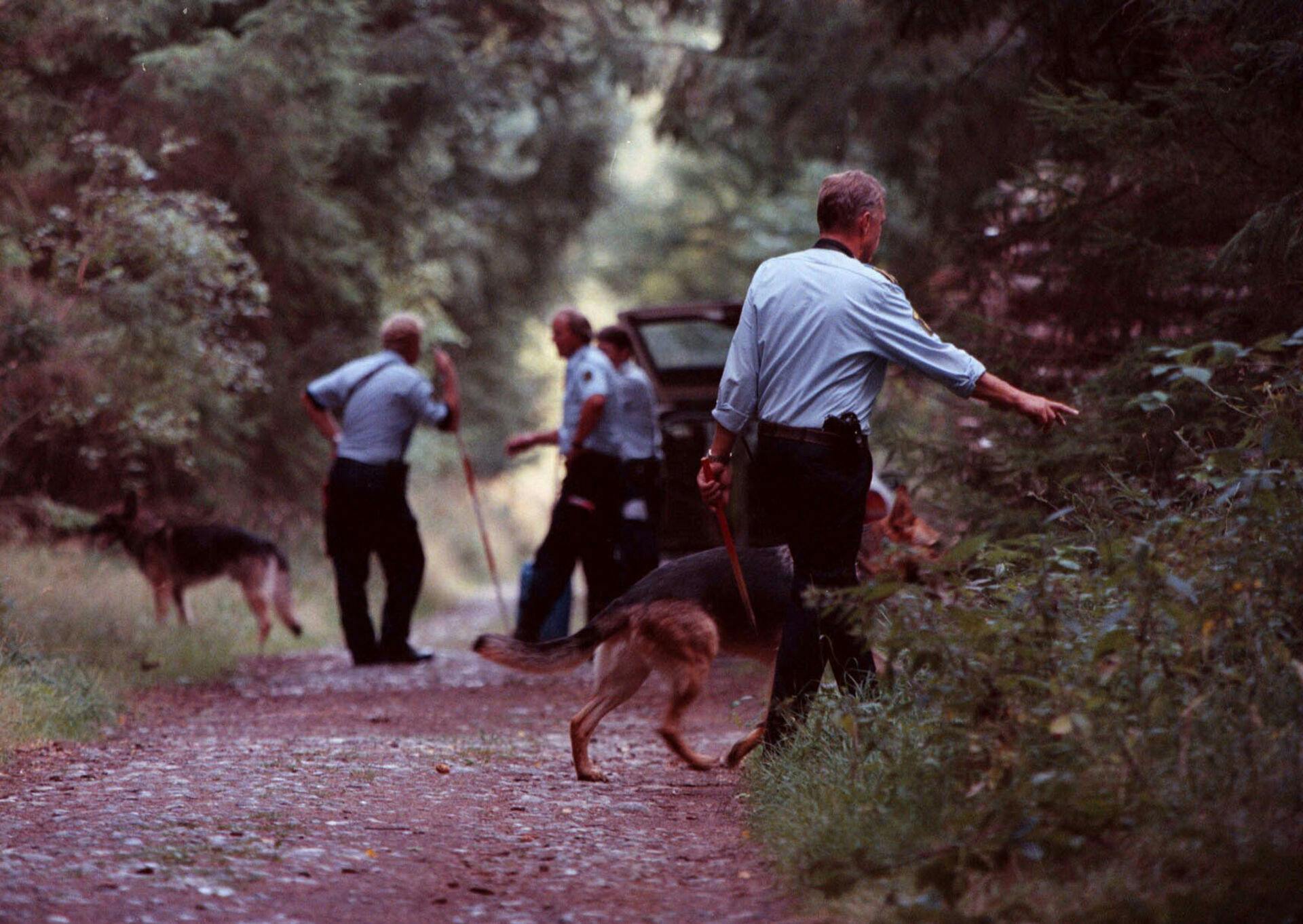 En 11-årig pige blev torsdag i sidste uge voldtaget i klitterne ved Bøtø strand. Her gennemsøger politiet området endnu engang. (Foto: HANSEN CLAUS/Scanpix 2024)