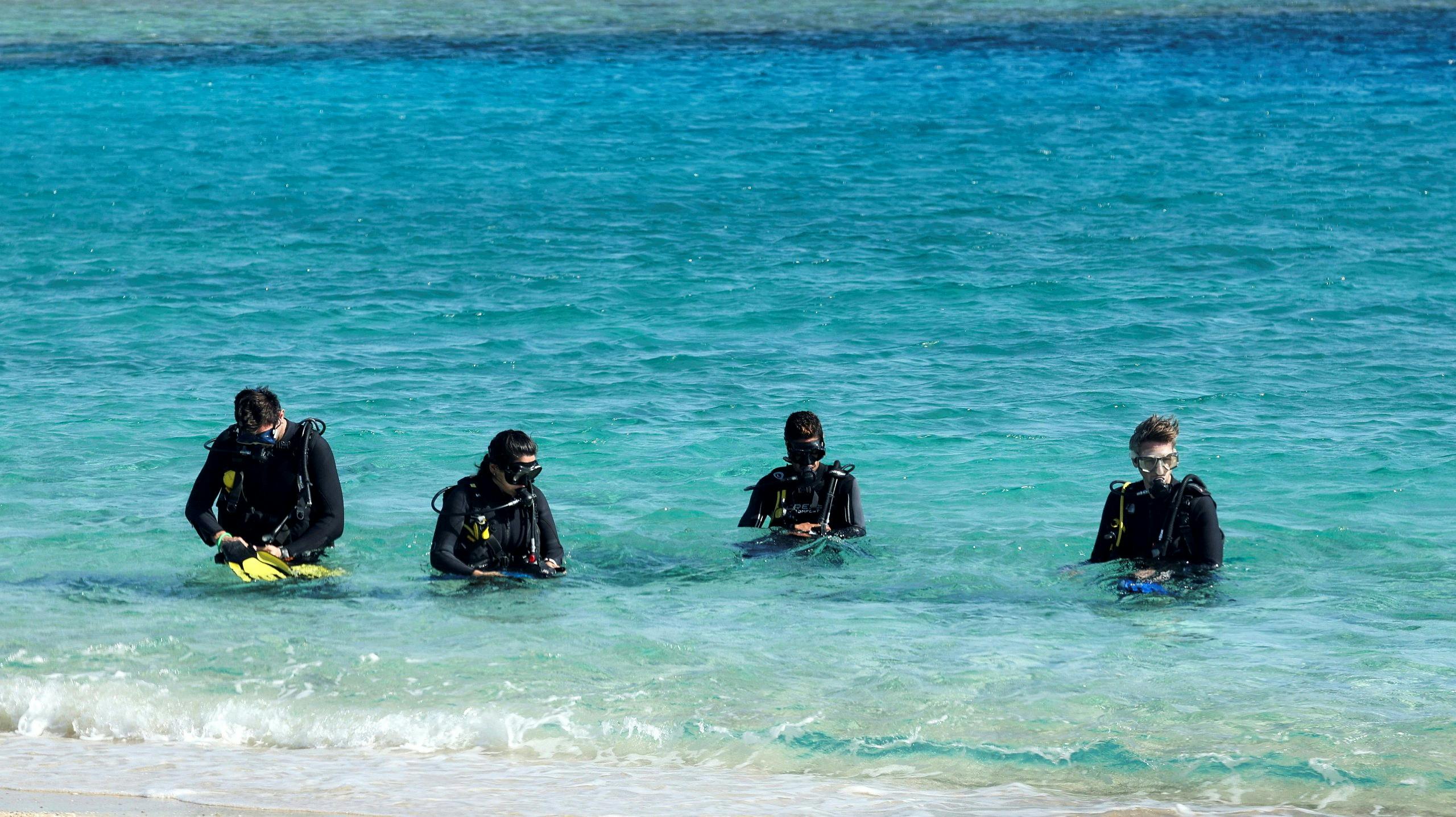 Divers gear up for a training session with tourists on the beach, where survivors from the boat that capsized off Egypt's Red Sea coast yesterday were brought, in Marsa Alam, Egypt, November 26, 2024. REUTERS/Mohamed Abd El Ghan