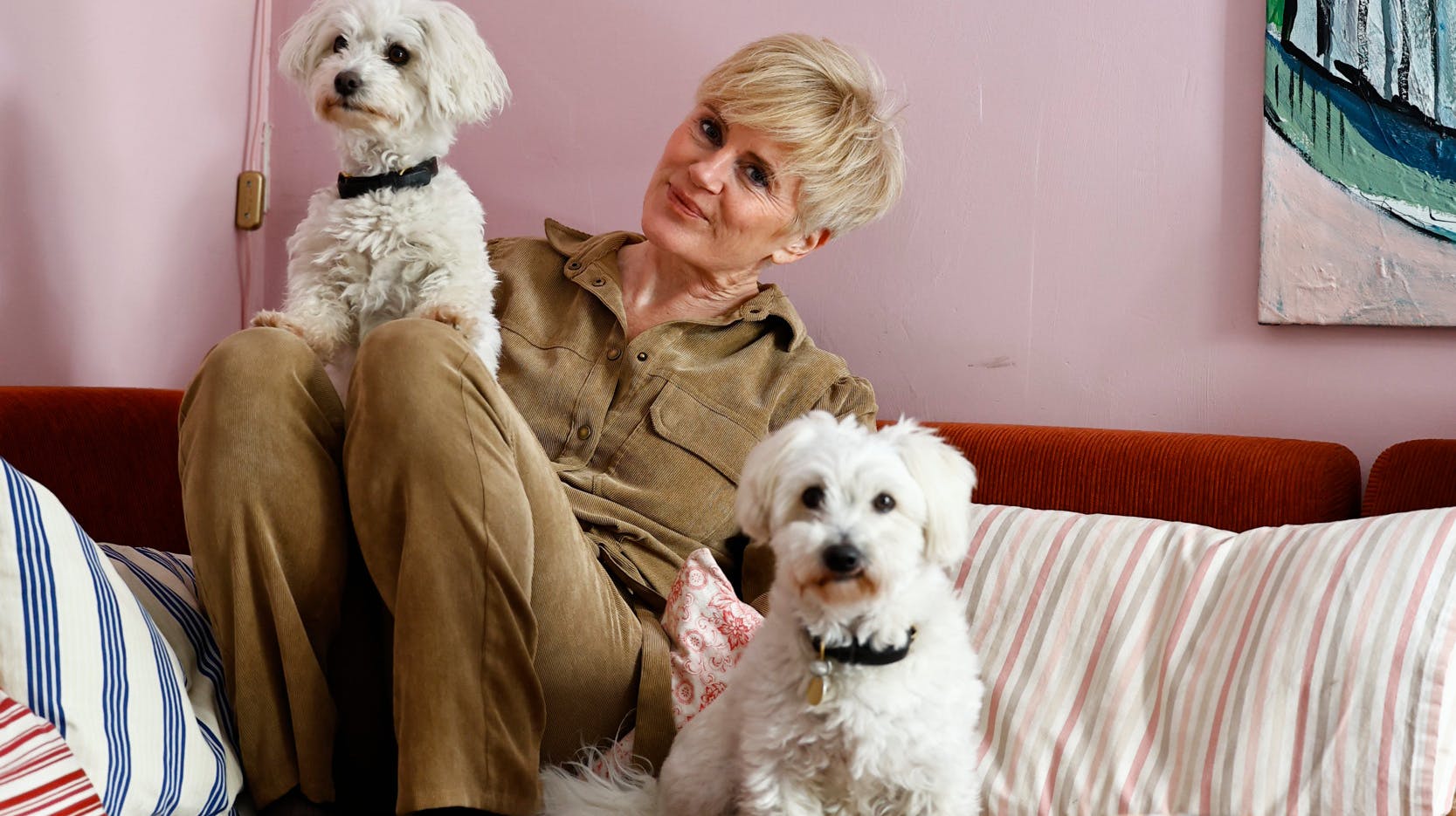 Billie og Viggo er familiens to søde bomuldshunde.