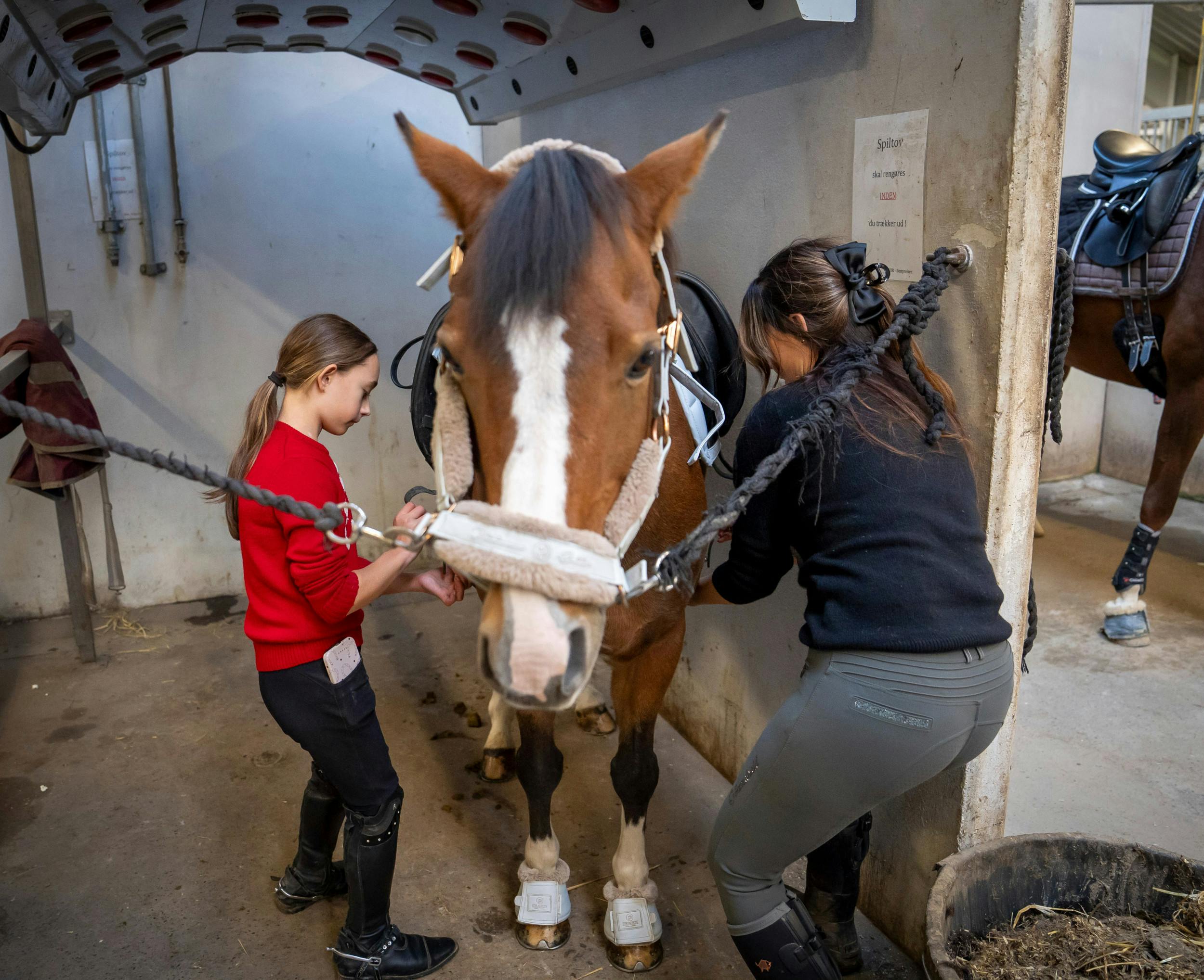 Det er hårdt arbejde at have hest, men Mascha og Hollie nyder hvert sekund.