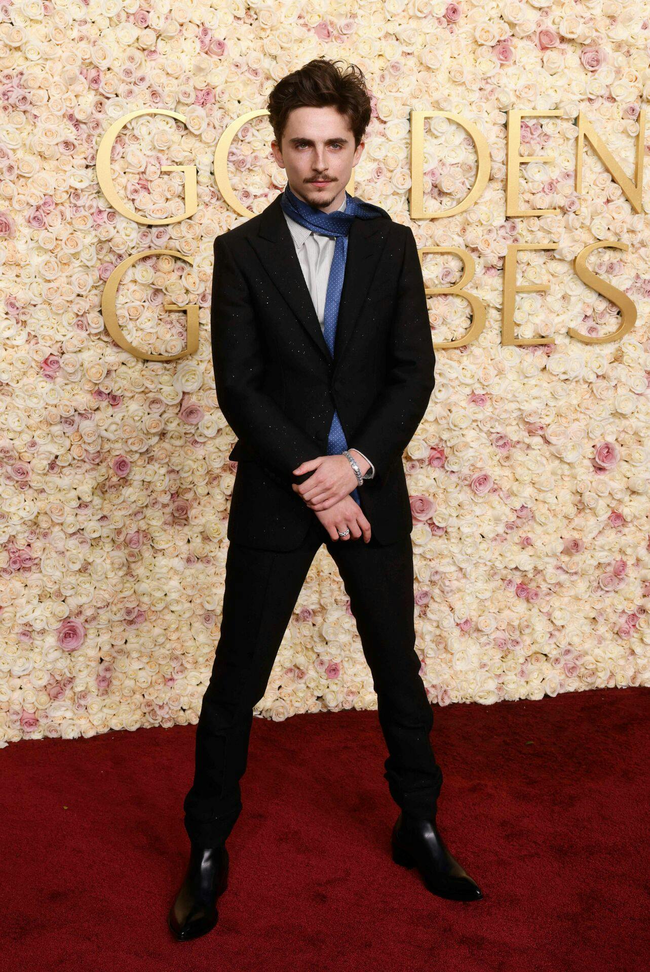 Timothee Chalamet poserede på den røde løber - desværre uden sin labre date.