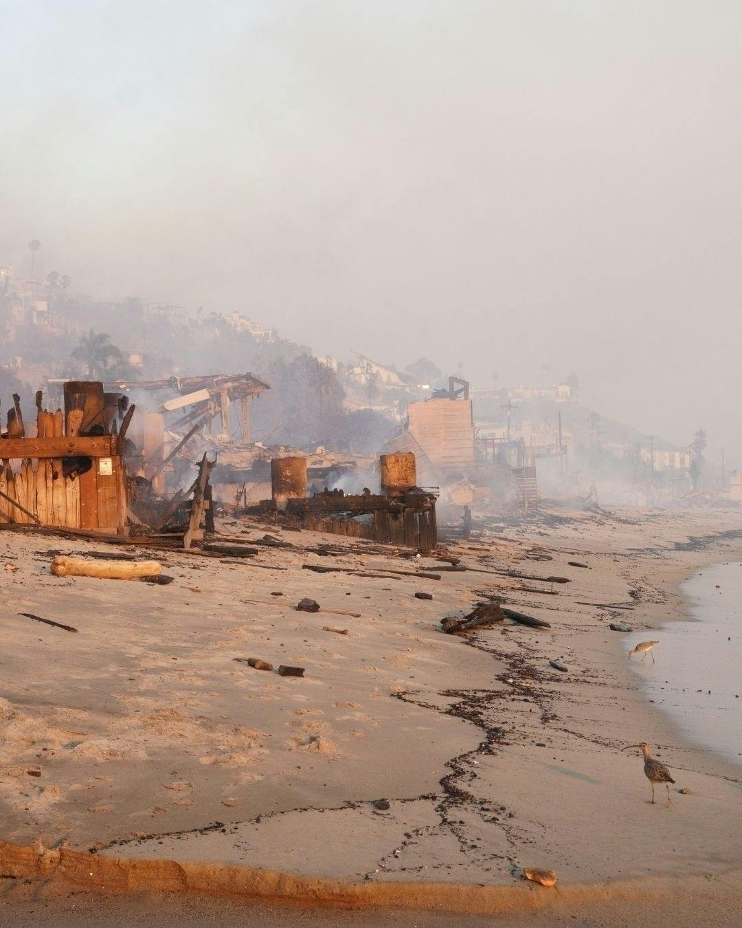 Paris Hilton har allerede fortalt, at hun så på direkte tv, at hendes hjem i Malibu brændte ned.