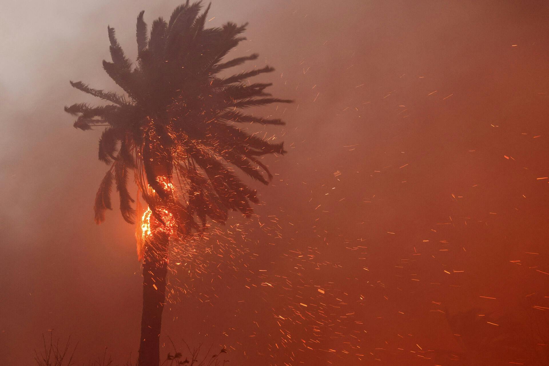 Naturbrande i Los Angeles 