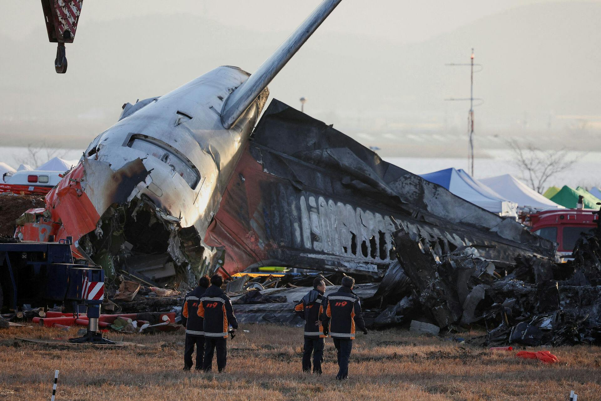 Efterforskere har fundet fuglefjer og blod i begge motorer på det fly, der i slutningen af december forulykkede i lufthavnen Muan i Sydkorea.