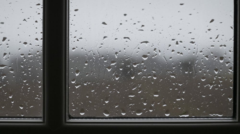 Denne uge ender i "en gedigen mængde regn", siger vagthavende meteorolog ved Danmarks Meteorologiske Institut (DMI) Trine Pedersen. (Arkivfoto).
