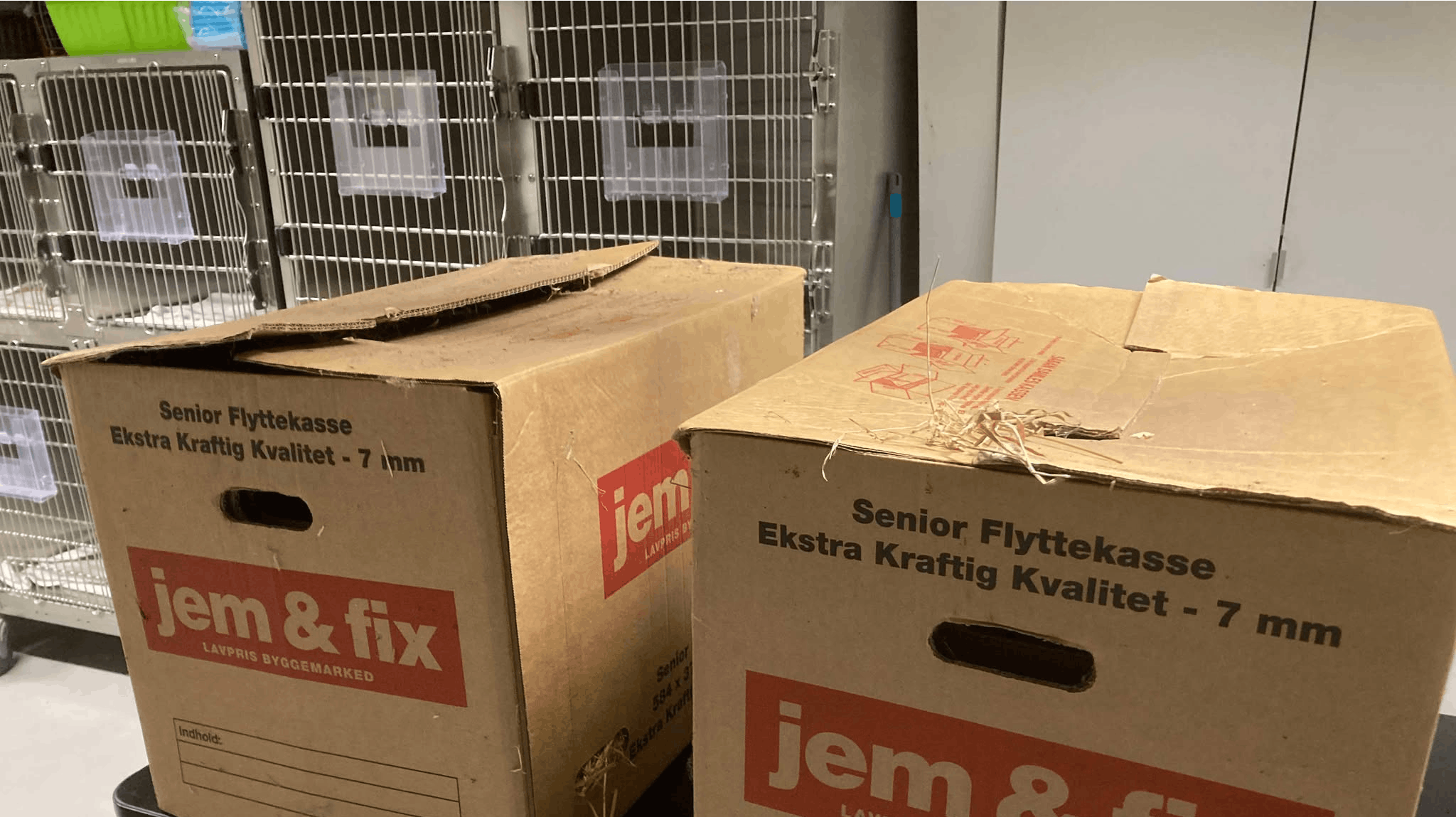 For kort tid siden gjorde man et hjerteskærende fund i disse to flyttekasser ved Ribe.