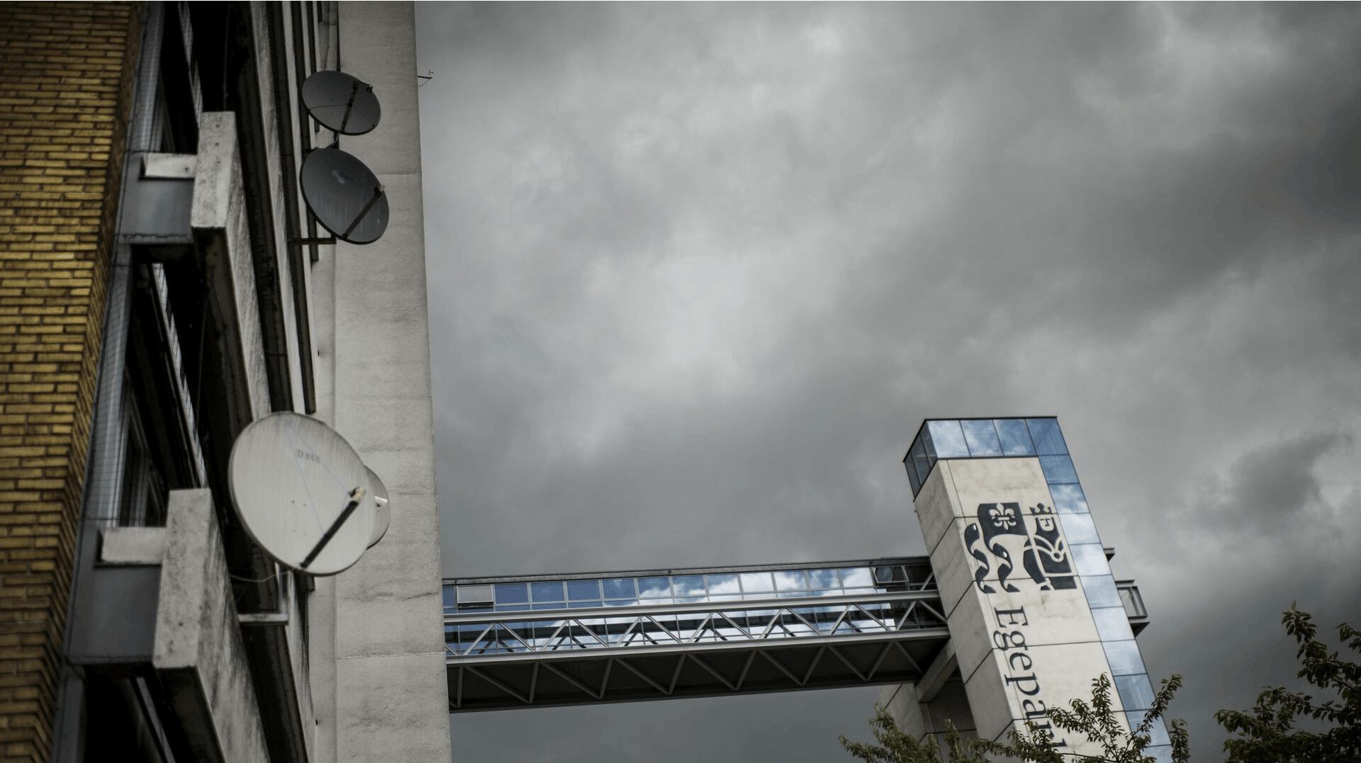 Efter DF-politikeren har lagt en video ud fra Egeparken har hun modtaget flere dødstrusler.