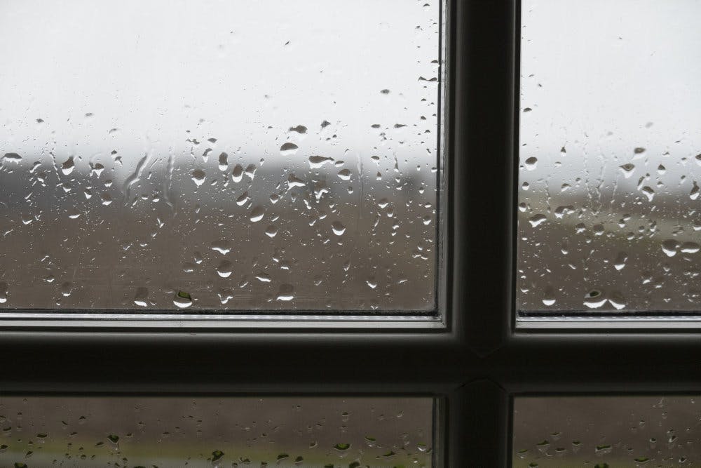 Vejret bliver i denne uge ustadigt i det meste af landet. Mandag byder på langvarig regn og blæsevejr, mens temperaturerne bliver i den milde ende. (Arkivfoto).