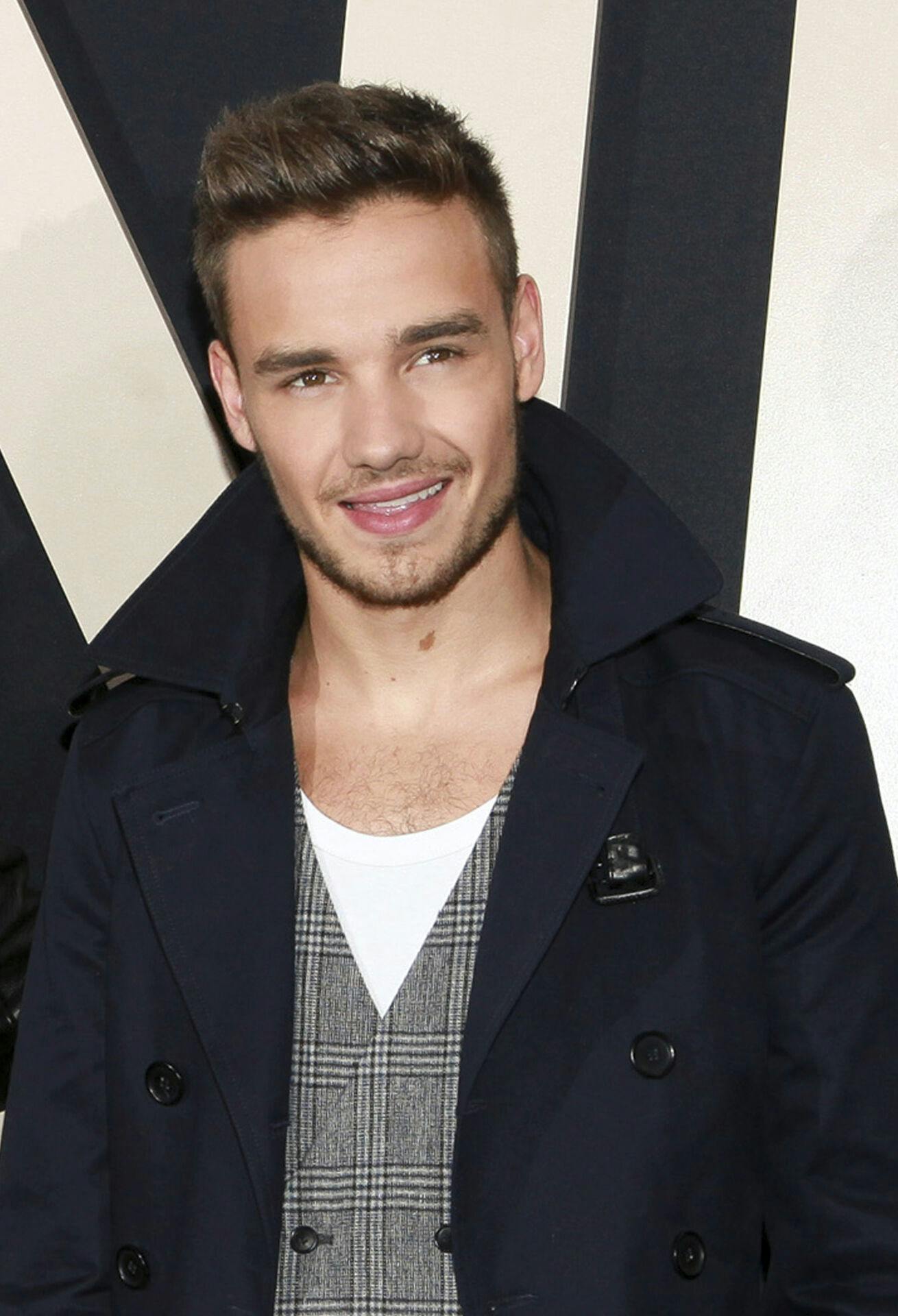 Liam Payne gik på tragisk vis bort sidste år.