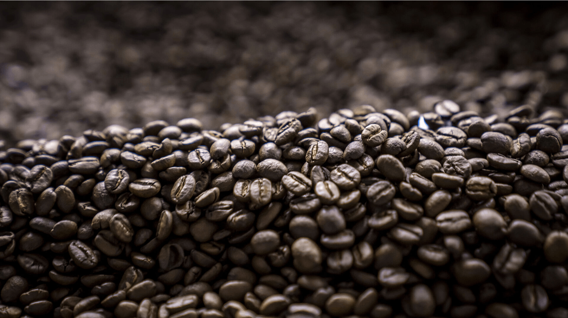 Kaffebønner. Kaffe. Kafferistning. Kafferisteri.