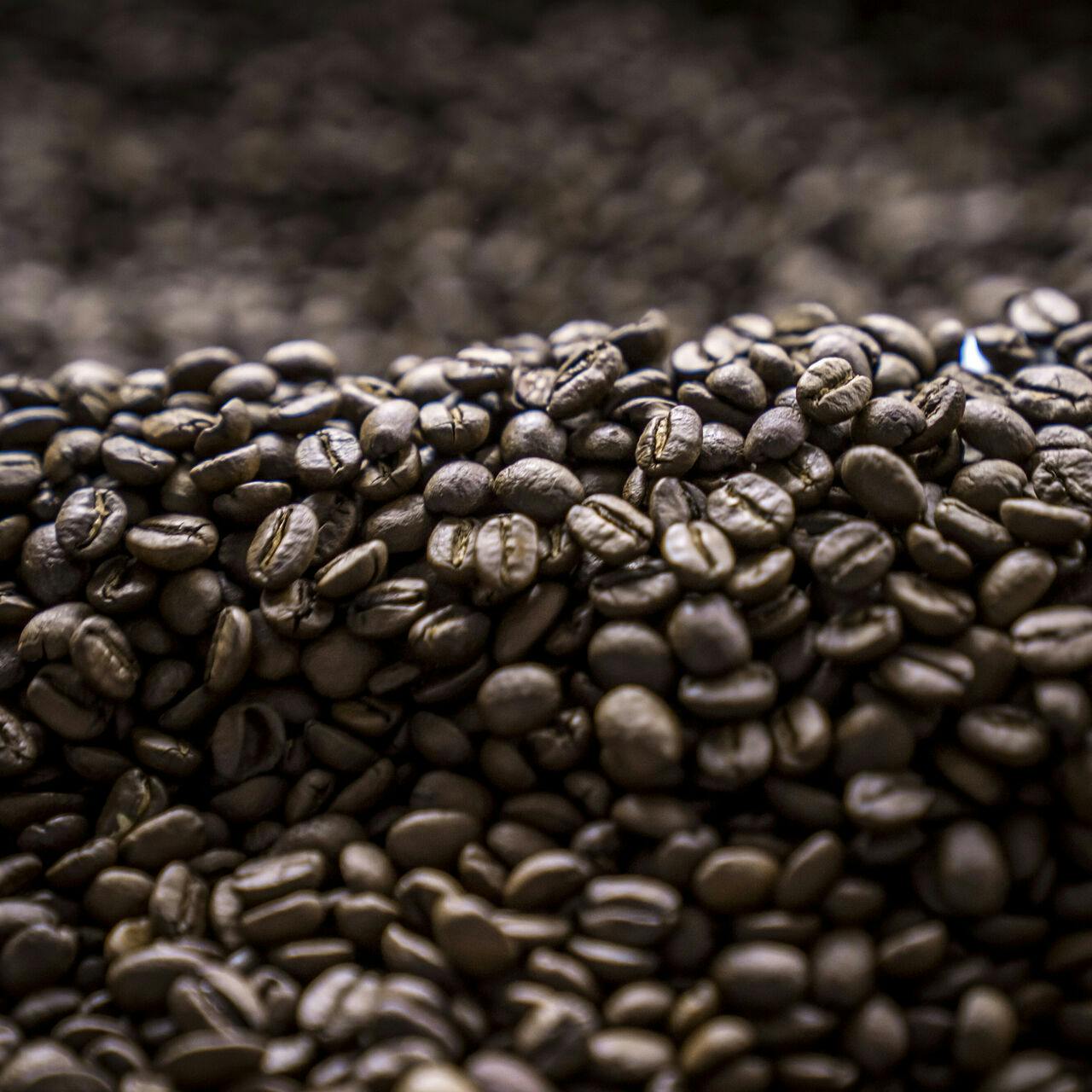 Kaffebønner. Kaffe. Kafferistning. Kafferisteri.