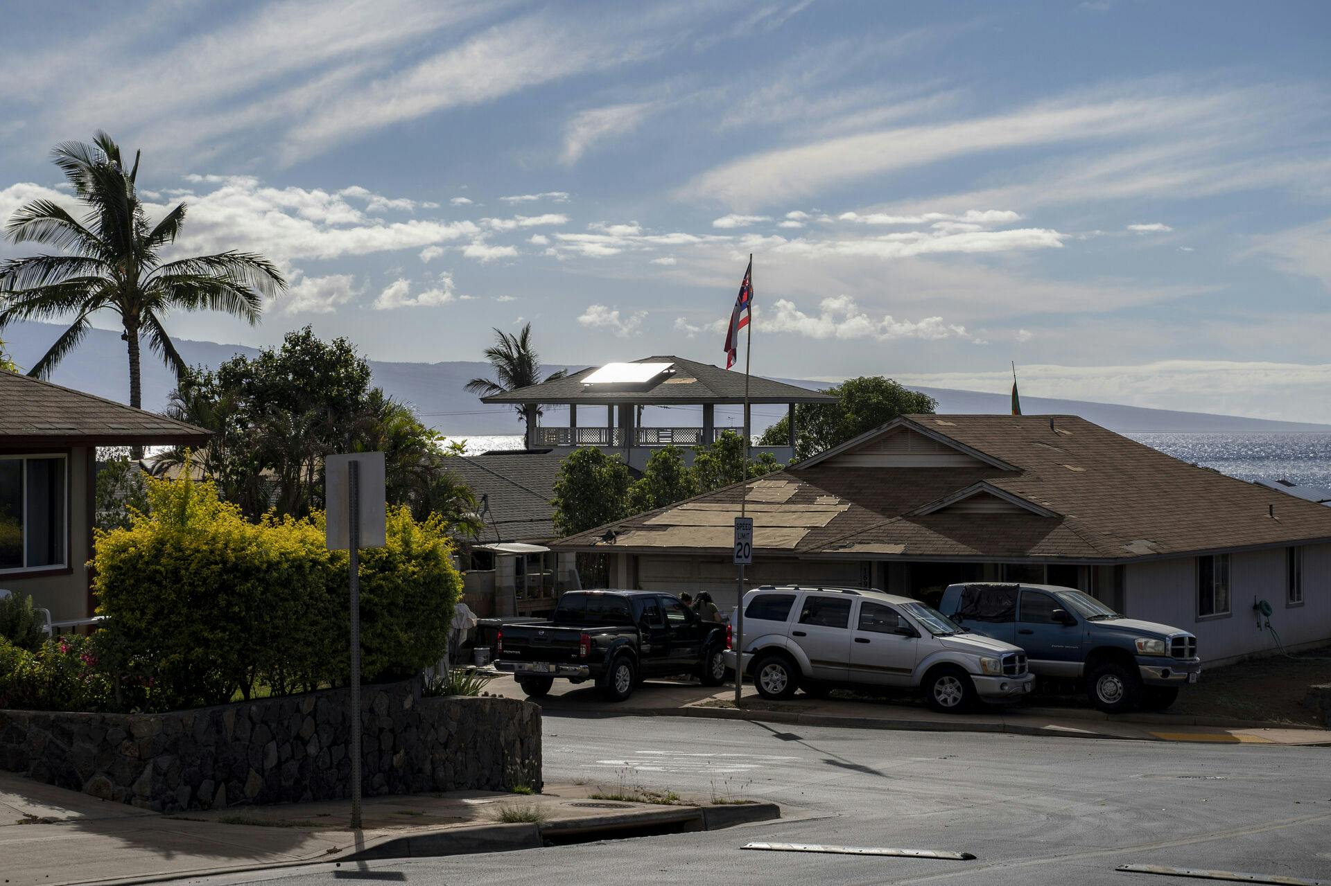 En bedstemor fra Hawaii er nu blevet dømt i den uhyggelige sag.