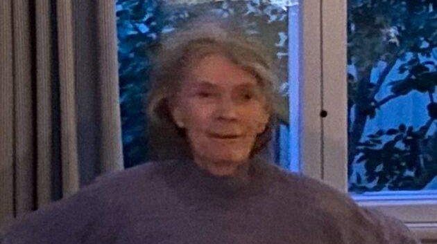 Her ses kvinden, som politiet efterlyser.