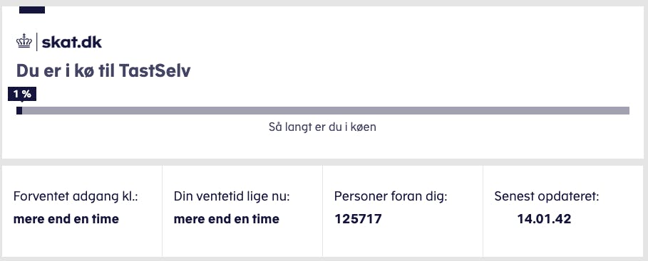 Danskerne har siddet i kø hele dagen, men klokken 14 var der endnu ikke åbnet for adgang til årsopgørelsen.