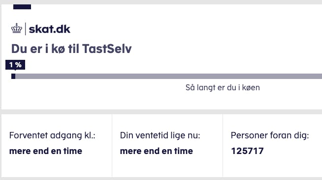 Danskerne har siddet i kø hele dagen, men klokken 14 var der endnu ikke åbnet for adgang til årsopgørelsen.